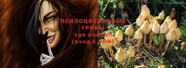 ALPHA PVP Алексин
