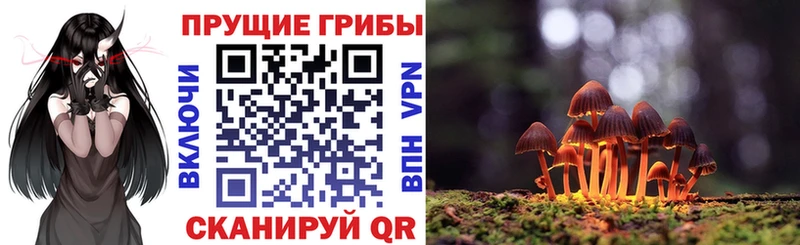 Псилоцибиновые грибы MAGIC MUSHROOMS  Печоры 