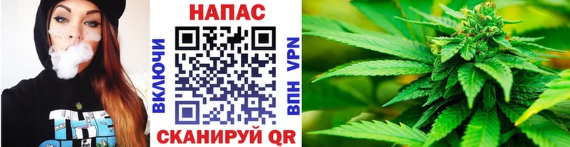 Конопля SATIVA & INDICA  площадка как зайти  Печоры  цены наркотик 